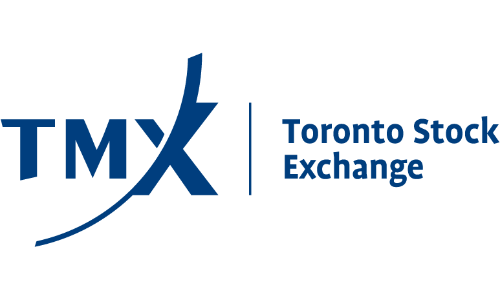 TSX Stock Exchange Logo