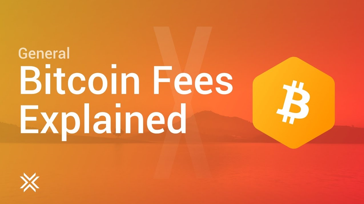 Shopping? Trading? Minimize Your Bitcoin Transaction Fees